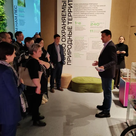 Пакет базовый